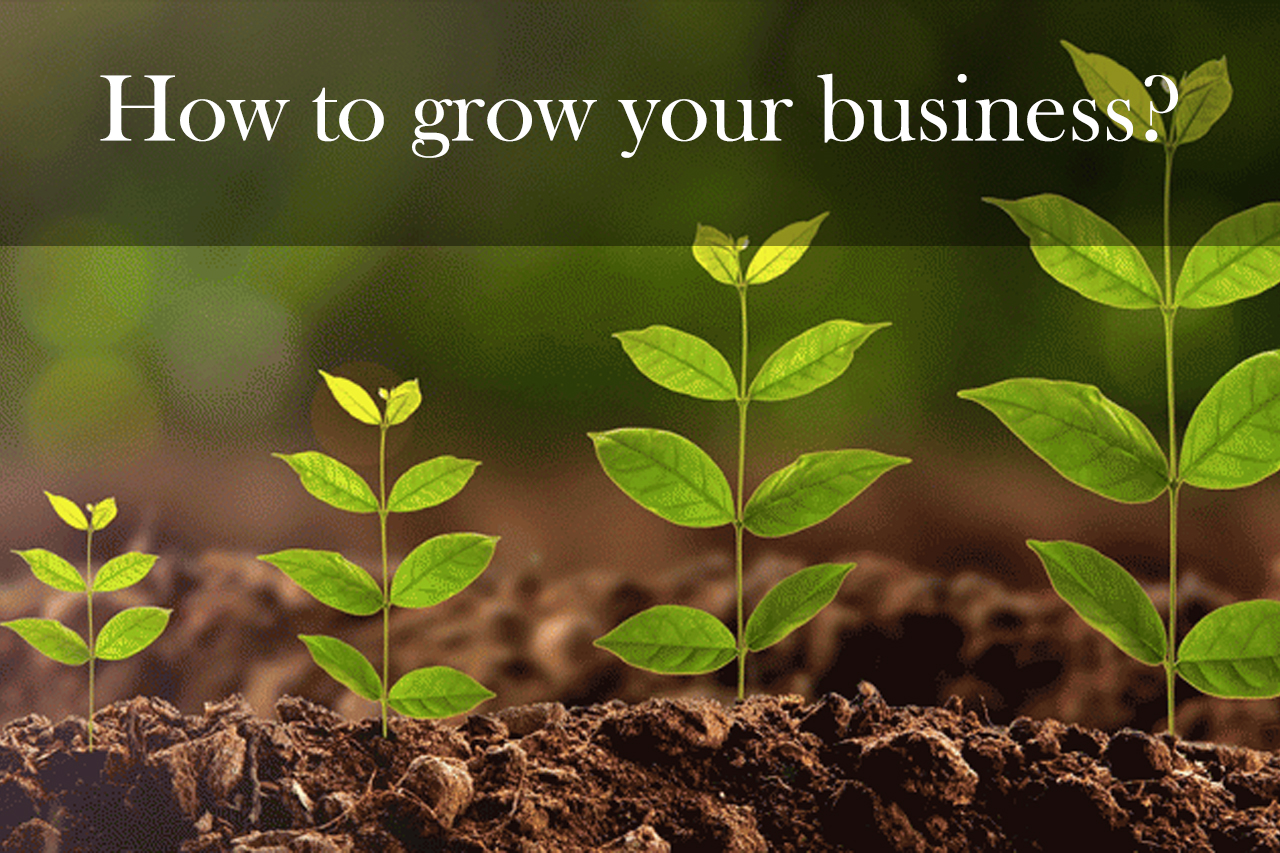 How to grow your business? – A Step by Step Guide